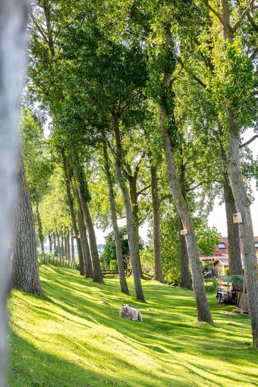 Holiday Home Polderzicht By Interhome Zuid-Beijerland Eksteriør bilde